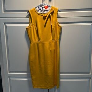 Brooks brothers dress